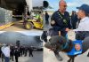 Arriba al país equipo de resc@te de Miami-Dade en avión militar de EE.UU. para sumarse a la búsqueda de sobrevivientÊs tras los sismôs