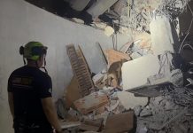 Unidades caninas de la VATF1 logran agilizar la localización de sobreviviÊntes atrapÂdos bajo estructuras colapsad@s en Venezuela (+ Video)
