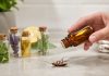 Conozca el remedio natural que las cucarÄchas detestan y todos tenemos en casa (+ Detalles)