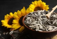 Pequeñas pero poderosas: los grandes beneficios de las semillas de girasol para tu dieta y cómo consumirlas con moderación