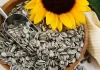 Pequeñas pero poderosas: los grandes beneficios de las semillas de girasol para tu dieta y cómo consumirlas con moderación