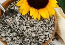 Pequeñas pero poderosas: los grandes beneficios de las semillas de girasol para tu dieta y cómo consumirlas con moderación