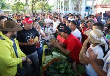 Más de 300 productores monaguenses recibieron financiamiento para el cultivo de caraotas: el Plan Agroalimentario Comunal potencia la siembra en la región (+ Fotos)