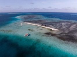 Tecnología espacial y talento venezolano se unen para revelar la historia geológica del Archipiélago Los Roques (+ Detalles)