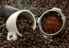 De Portuguesa para el mundo: variedades de la región superan catación a ciegas y se medirán con los mejores cafés del país en el EICEV 2026