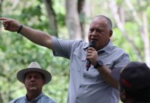 Cabello llamó a unidad nacional y pidió apoyo para la producción: plantea flexibilizar créditos para campesinos y defender la soberanía venezolana