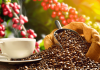 Café, té y especias venezolanas lideran la oferta exportable hacia EE. UU. y proyectan venta por encima de los 65 millones de dólares a inicios de 2026