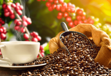 Café, té y especias venezolanas lideran la oferta exportable hacia EE. UU. y proyectan venta por encima de los 65 millones de dólares a inicios de 2026