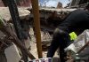 Segundo día de búsqueda tras despliegue institucional en la zona centro – norte de Venezuela (+ Detalles)