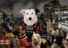 Unidades caninas y brigadas internacionales lideran la carrera cöntra el tiempo para rescatar supervivïentes tras terremotos en Venezuela (+ Fotos)