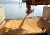 Brasil desÄfía el histórico liderazgo de Argentina en la exportación global de harina de soja