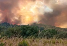Avanza el fuëgo en España: Cientos de evacuados y alërta máxima por incëndios en Padrón, Grado y Sevilla