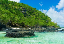 Madagascar: la isla que domina el mercado de la segunda especia más cara del mundo (+ Detalles)