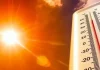 AlÊrta en el Mundial: La ONU adviêrte que el calor extrêmo será protagonista en 26 partidos, incluida la gran final (+ Detalles)