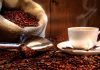 Asamblea Nacional aprueba los primeros 18 artículos de la Ley del Cacao Venezolano para mitigar desigualdades en su comercialización