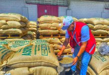 Lara expande su frontera comercial: Exportan 19 toneladas de café verde hacia Italia desde el Puerto Seco de Barquisimeto