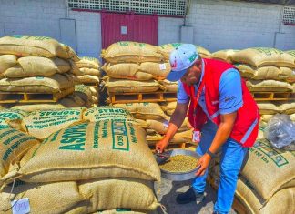 Lara expande su frontera comercial: Exportan 19 toneladas de café verde hacia Italia desde el Puerto Seco de Barquisimeto