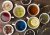 Estudio científico confirma que el té tradicional actúa como escudo contra enfermëdades crónïcas