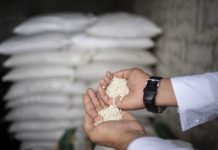 Más de 150 mil toneladas de urea han sido entregadas a productores del país de en lo que va del año 2026 a través de Pequiven (+ Detalles)