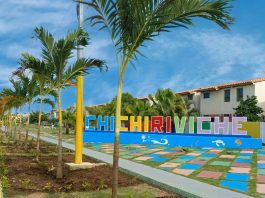 Reactivan operaciones turísticas a Chichiriviche bajo la iniciativa de impulsar experiencias seguras y el desarrollo del sector
