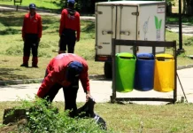 Inician labores de saneamiento integral y adecuación en el Parque Generalísimo Francisco de Miranda
