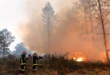 Francia decreta nueva alertä por ola de calor en medio de una crisïs histórica de incendiøs