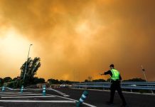 Incendios en Madrid y Ávila dejan 25.000 hectáreas c@lcin@das y 73.000 dësalöjados