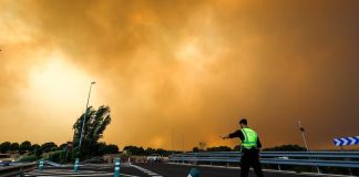 Incëndios en Madrid y Ávila dejan 25.000 hectáreas c@lcin@das y 73.000 dësalöjados
