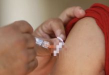 Especialistas recomiendan a México incorporar la vacuna contra el dengue a su estrategia nacional de salud