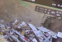 Vistos con vida: Dos perritos fueron observados desde un dron en el edificio Belo Horizonte de Catia La Mar (+ Video)