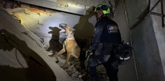 Equipos de Búsqueda y Rescate Urbano regresan a EE. UU. tras culminar labores humanitarias por sismøs
