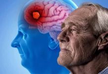 Investigadores descubren el mecanismo biológico del gen APOE2 para combatir el alzhéïmer y frenar el envejecimiento celular