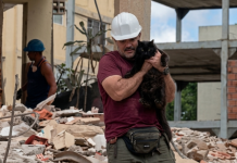 Tras más de un mes atrapadö en San Bernardino, un gato es hallado con vida gracias al trabajo coordinado de los cuerpos de rescate de Caracas