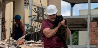 Tras más de un mes atrapadö en San Bernardino, un gato es hallado con vida gracias al trabajo coordinado de los cuerpos de rescate de Caracas