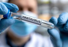 El Ministerio de Salud de Chile activa alertä preventiva ante el incremento de la mörtalidad por hantavïrus y rïesgos ambientales