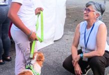 Se han rescatado más de 600 mascotas entre los escombrøs tras el doblete sísmicø