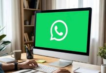 WhatsApp Web activa las llamadas y videollamadas directamente desde el navegador sin necesidad de instalar aplicaciones