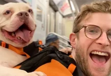 El creador de contenido Bryan Reisberg revoluciona las redes con una sencilla idea para que los perros de refugio encuentren familia