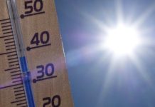 El Instituto Robert Koch alerta de que Alemania atraviesa su mayor crisïs de mortalïdad por calor con casi diez mil fallecïdos