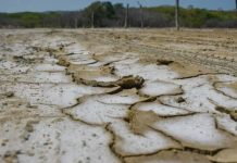 La ONU advierte sobre el rïesgo de un fenómeno de El Niño severö en América Latina a finales de año
