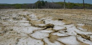 La ONU advierte sobre el rïesgo de un fenómeno de El Niño severö en América Latina a finales de año
