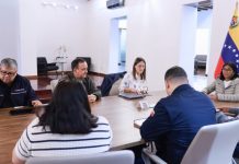 Estado Mayor Eléctrico prioriza la rehabilitación de las áreas de generación y transmisión para recuperar la estabilidad del servicio