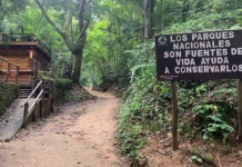 Siguen restringidos los accesos al Waraira Repano: solo Sabas Nieves está habilitado