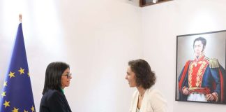 Delcy Rodríguez y comisaria de la UE coordinan plan de recuperación para zonas afectadâs por sismøs