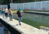 Gobierno nacional, Unicef y CAF coordinan plan para optimizar el servicio de agua en La Guaira