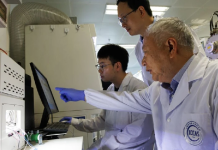 Academia de Ciencias de China logra récord de eficiencia en celdâs solares tándem para acelerar la transición energética