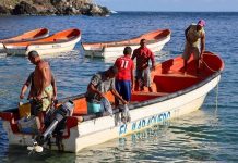 Pescadores artesanales de La Guaira retoman faenas para garantizar el suministro de proteína marina