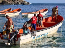 Pescadores artesanales de La Guaira retoman faenas para garantizar el suministro de proteína marina