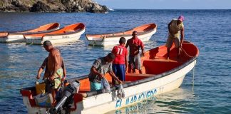 Pescadores artesanales de La Guaira retoman faenas para garantizar el suministro de proteína marina