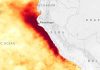 Alerta en Perú: Enfen adviertë que El Niño Costero podría alcanzar una magnitud extraordinaria hasta 2027